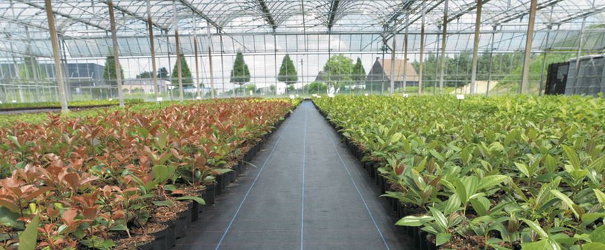 agriculture indoor nursery